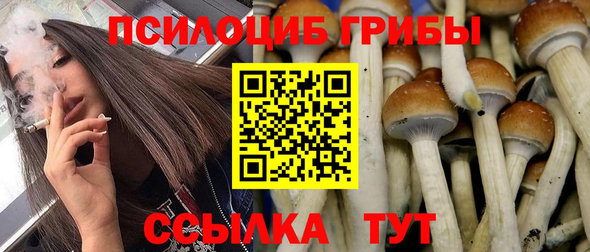 Ейск  Псилоцибиновые грибы прущие грибы  наркошоп  Вход с VPN 
